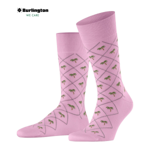 Burlington - M's Palm Tree