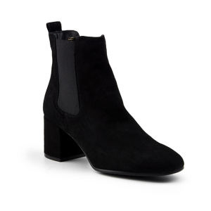 Ralph harrison - Nero