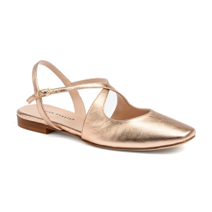 Andrea puccini - Musa