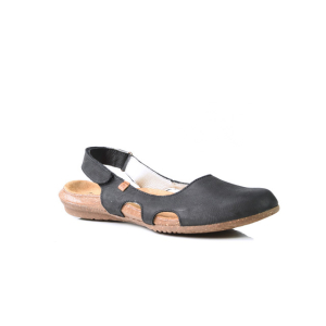 El naturalista - Wakataua