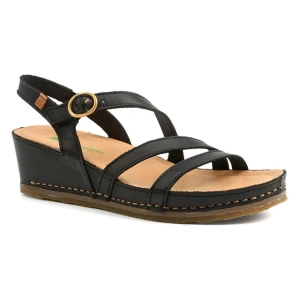 El naturalista - PICUAL N5855