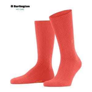 Burlington - M's BOSTON