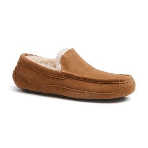 Ugg - Ascot