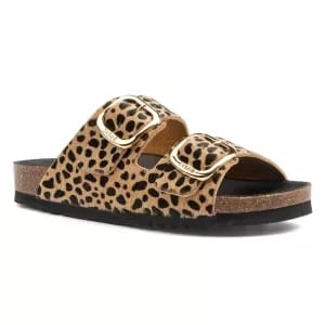 Scholl - NOELLE