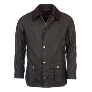 Barbour - Ashby