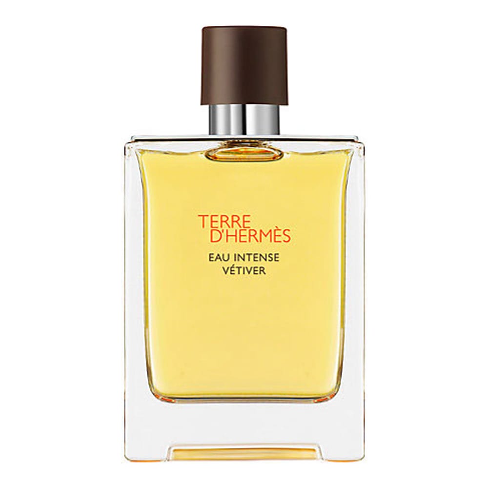 Hermès - Eau de parfum 'Terre d'Hermès Eau Intense Vétiver' - 50 ml