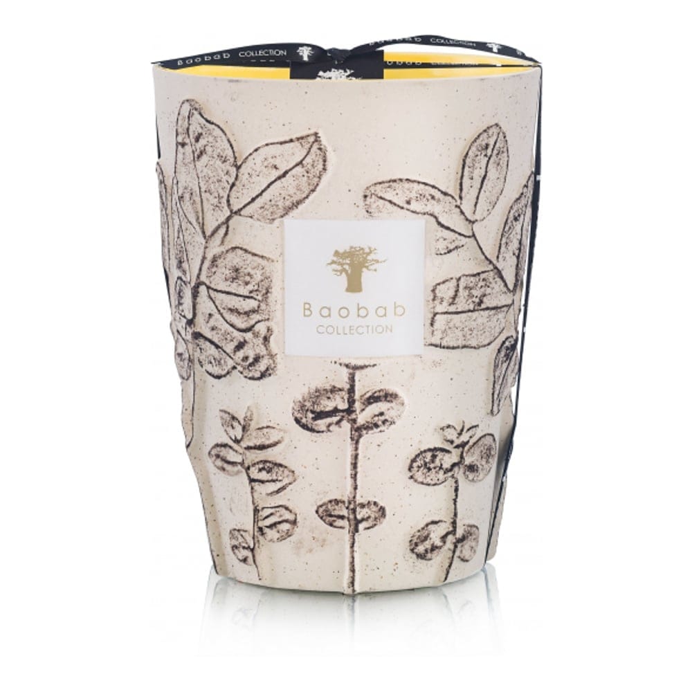 Baobab collection - Bougie parfumée 'Folia Calanque Max 24' - 5.2 Kg