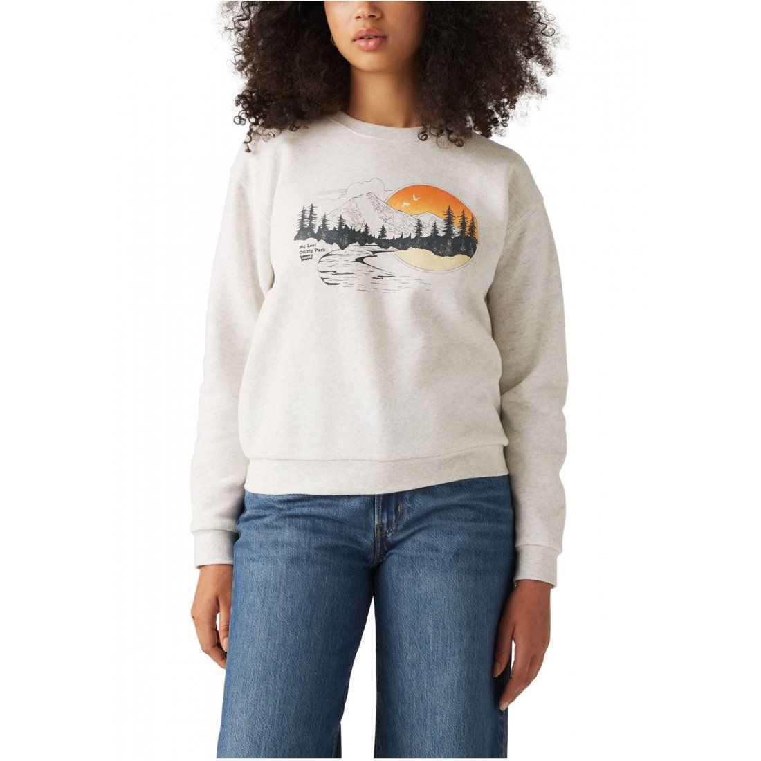 Levi's - Sweatshirt 'Everyday Graphic Crew' pour Femmes