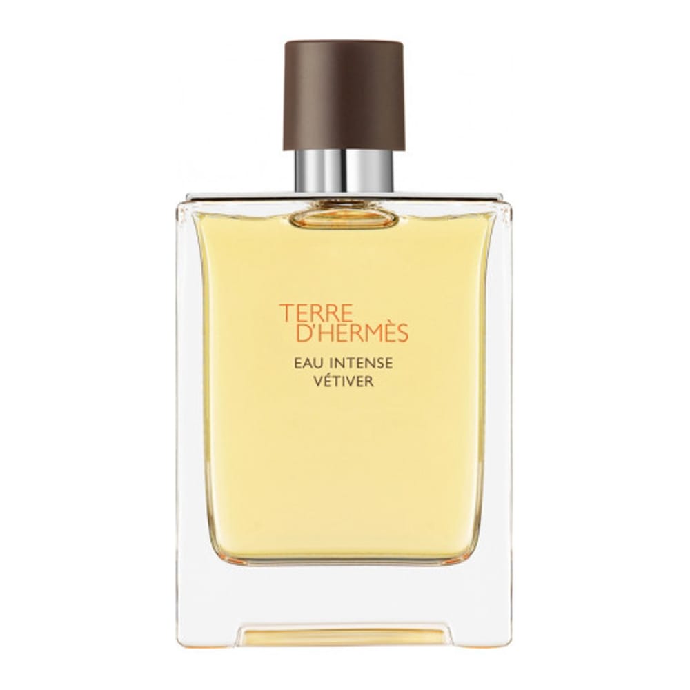 Hermès - Eau de parfum 'Terre d'Hermès Eau Intense Vétiver' - 50 ml