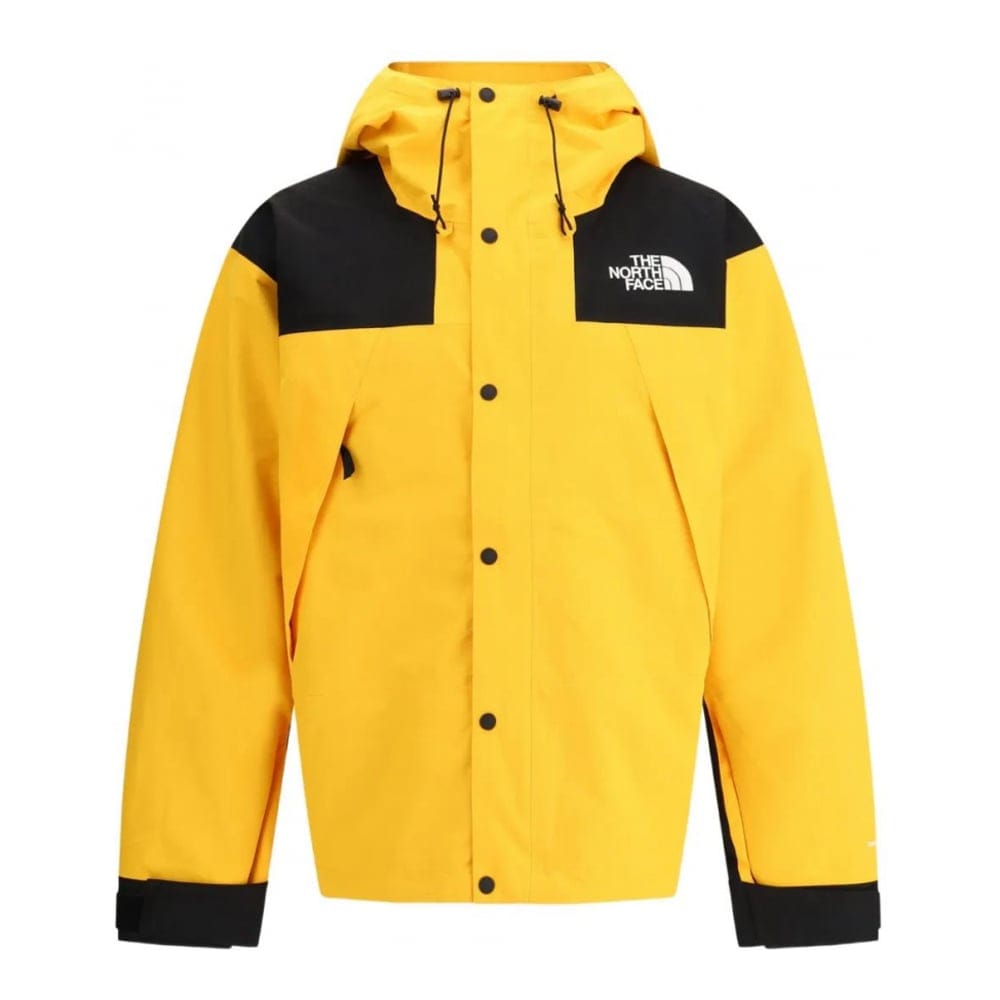 The north face - Veste 'Dryvent Mono Mountain' pour Hommes