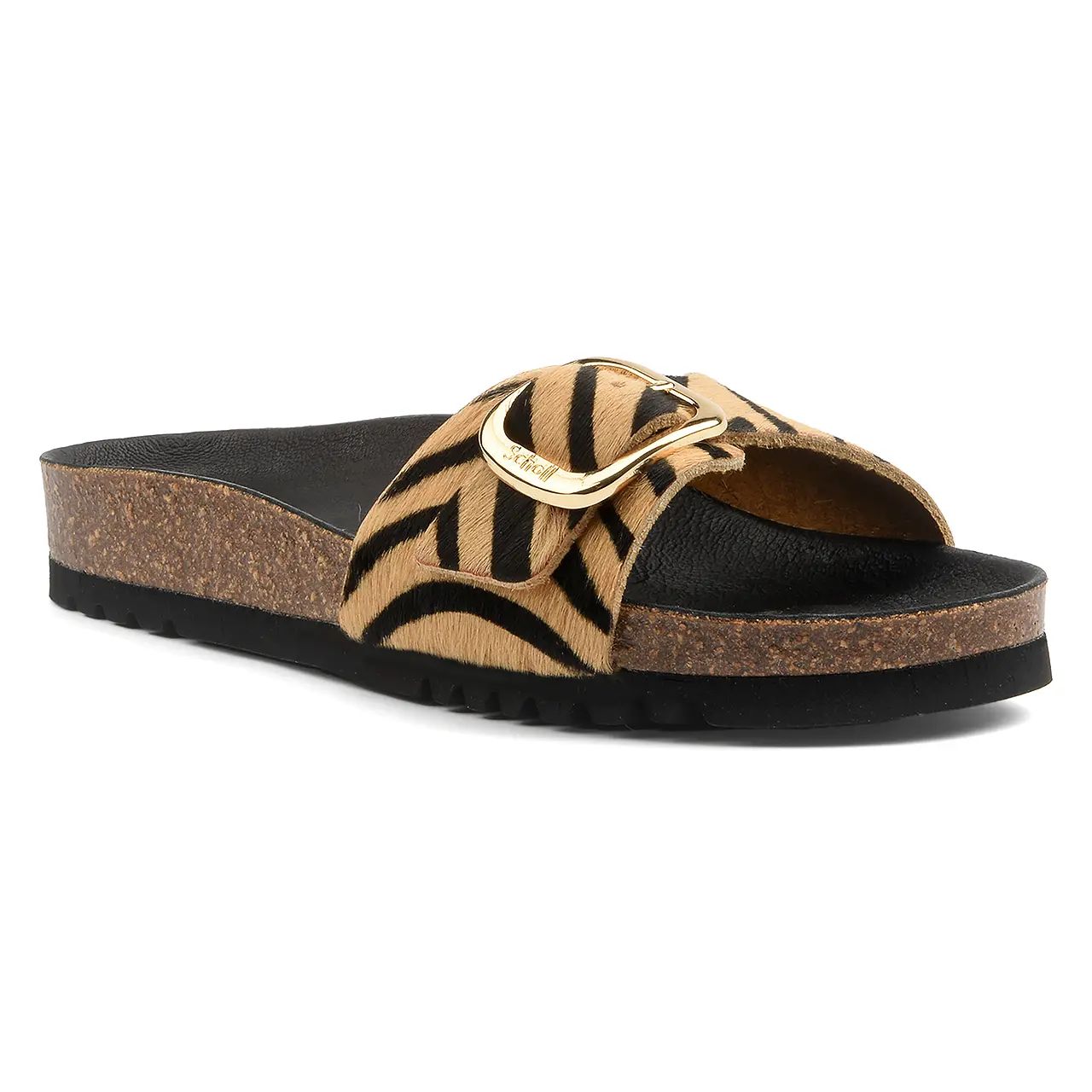 Scholl Kathleen-35 35