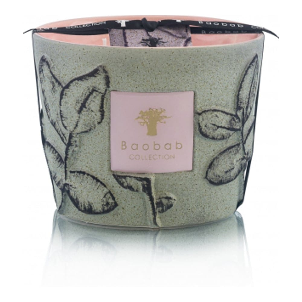 Baobab collection - Bougie parfumée 'Folia Maquis Max 10' - 1.3 Kg