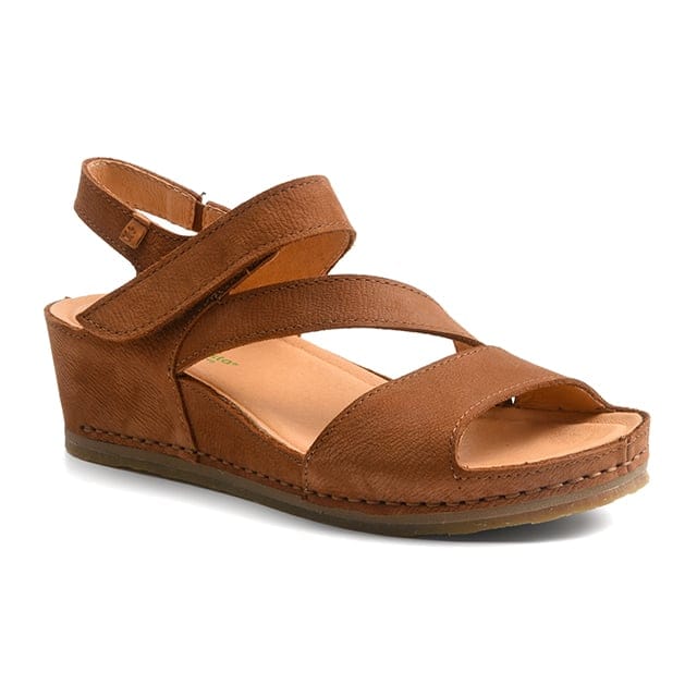 El naturalista - N5852 PICUAL