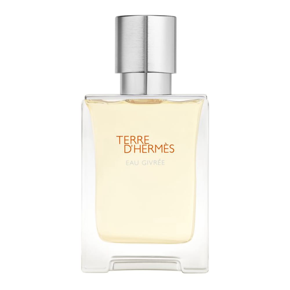 Hermès - Eau de Parfum - Rechargeable 'Terre d'Hermès Eau Givrée' - 50 ml