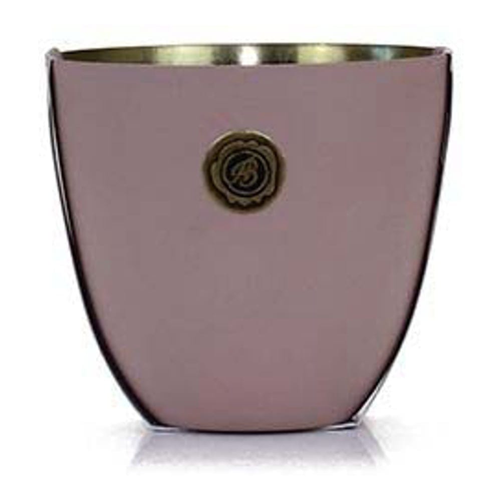 Ashleigh & burwood - Bougie parfumée 'Velvet Plum & Cassis' - 250 g