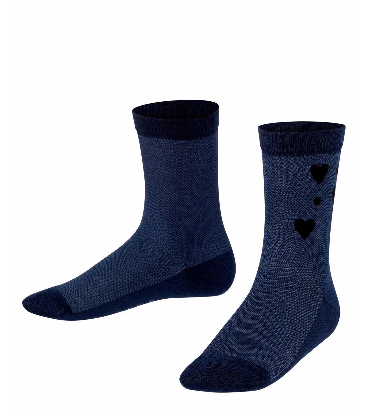 Falke - K's Hearth