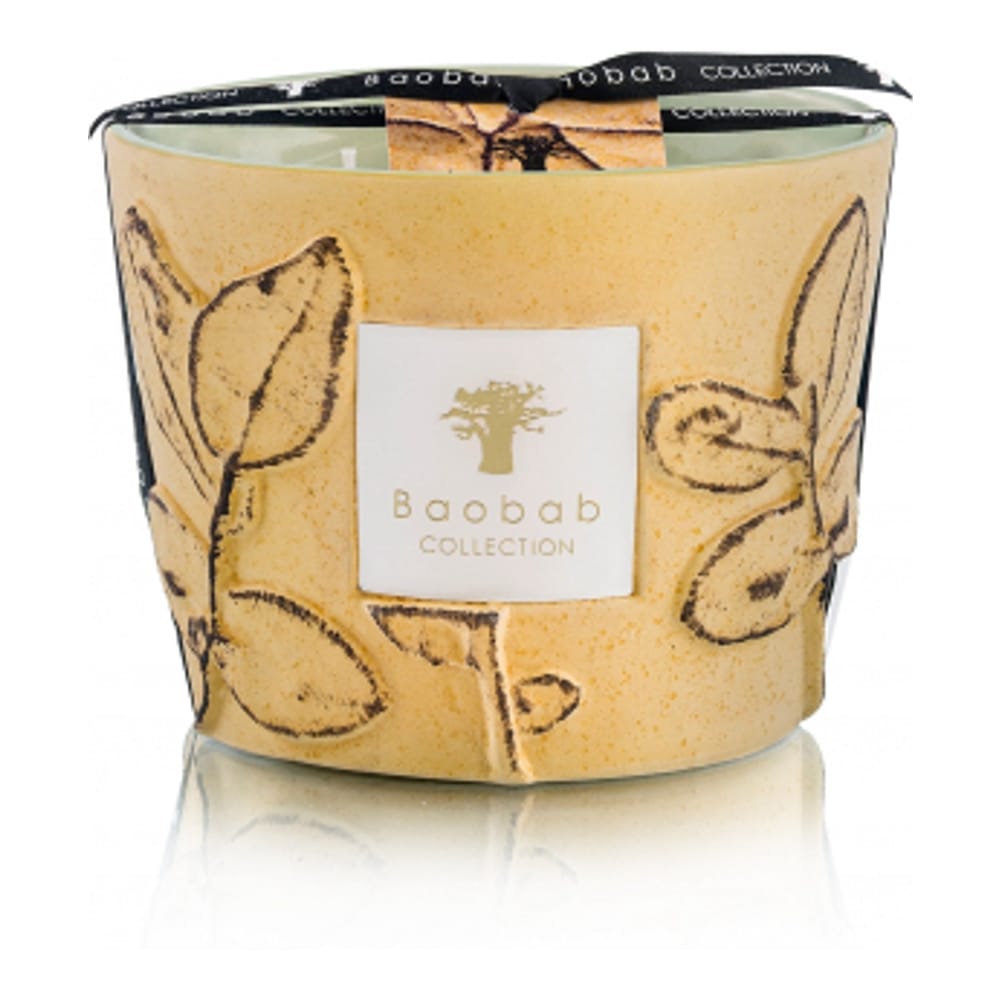 Baobab collection - Bougie parfumée 'Folia Garrigue Max 10' - 1.3 Kg