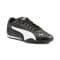 Puma Catch