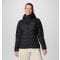 Delta Ridge™ II Down Hooded Jacket