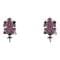 Women's Earrings