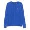 Pull 'Polo Pony-Embroidered' pour Hommes