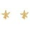 Women's Earrings
