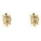 Women's Earrings