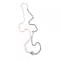 Women's Necklace