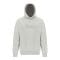 Sweatshirt à capuche  'Laminar Logo' pour Hommes