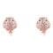 Women's Earrings