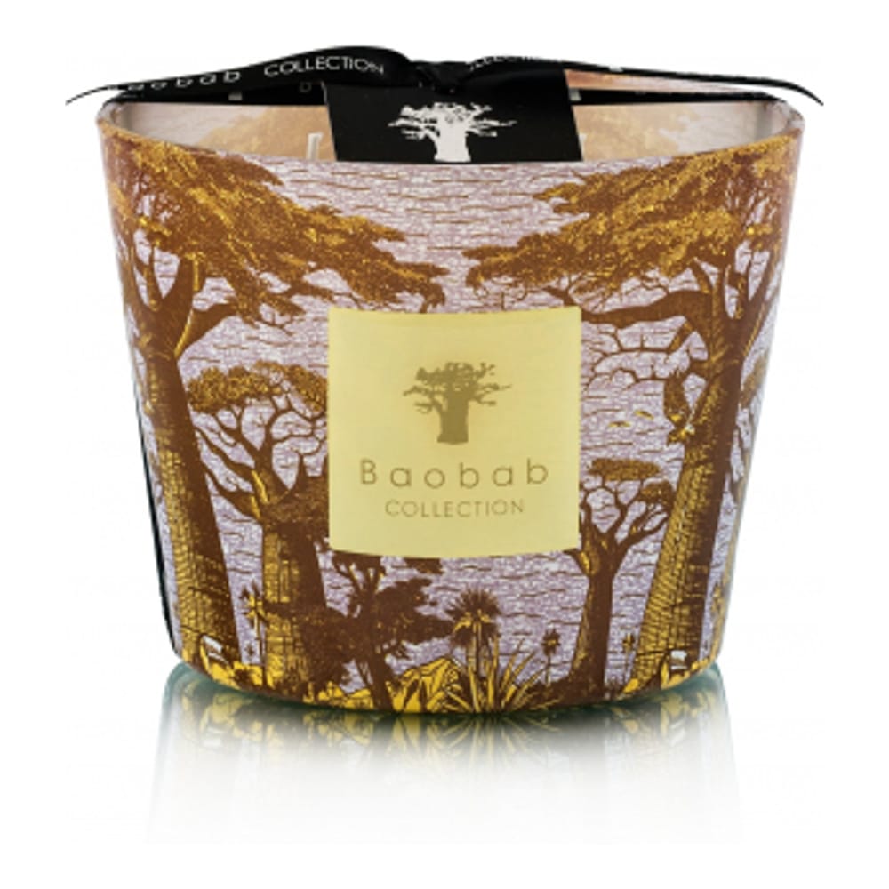 Baobab collection - Bougie parfumée 'Sacred Trees Summer Cocody Max 10' - 1.3 Kg