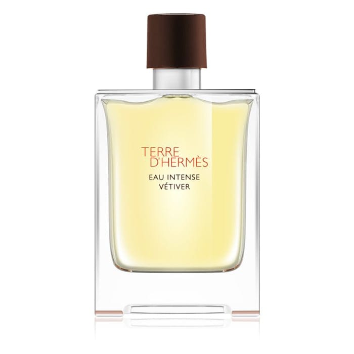Hermès - Eau de parfum 'Terre d'Hermès Eau Intense Vétiver' - 100 ml