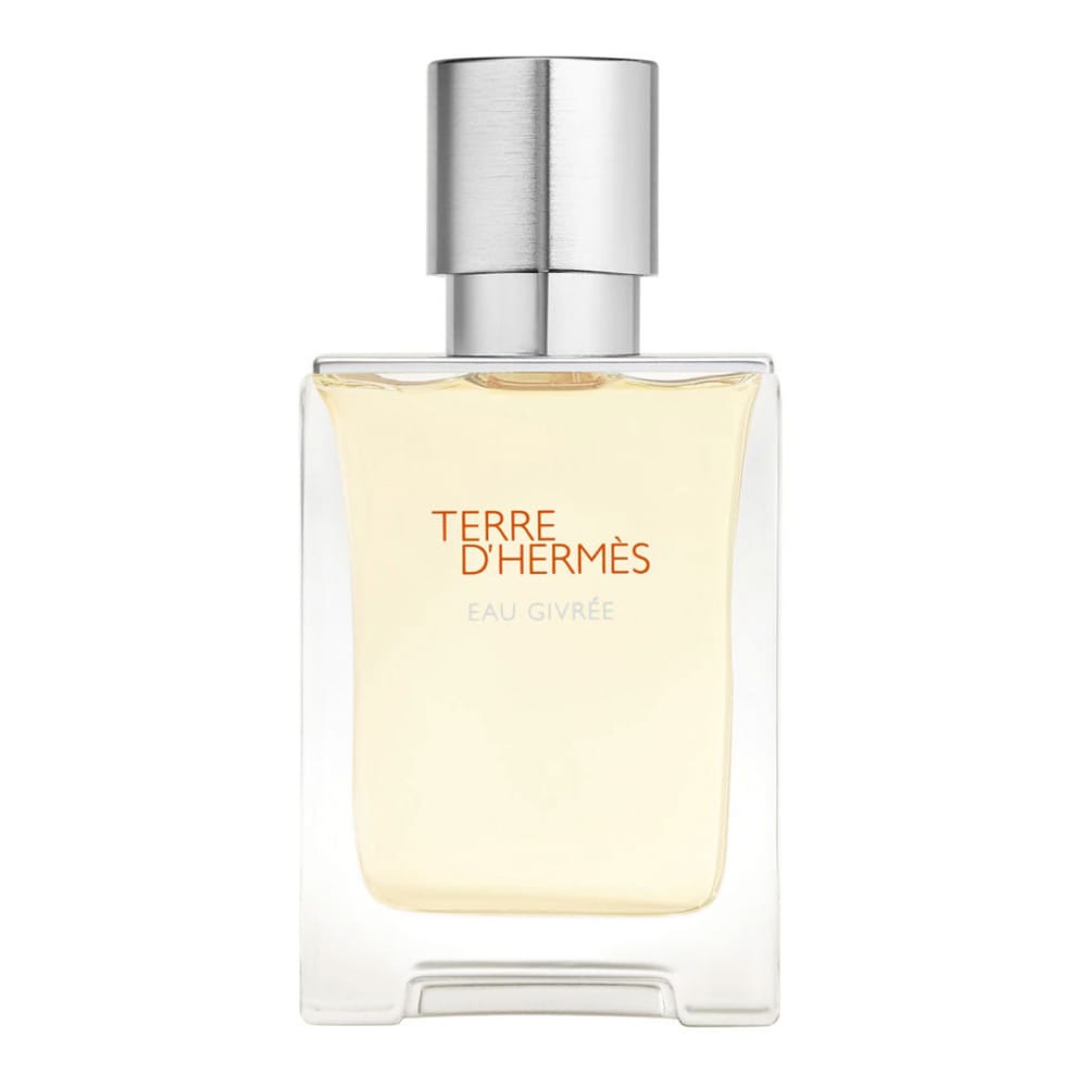 Hermès - Eau de Parfum - Rechargeable 'Terre d'Hermès Eau Givrée' - 100 ml
